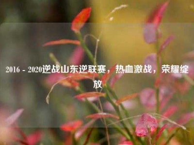 2016 - 2020逆战山东逆联赛，热血激战，荣耀绽放