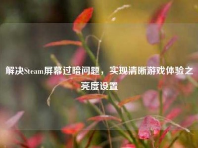解决Steam屏幕过暗问题，实现清晰游戏体验之亮度设置