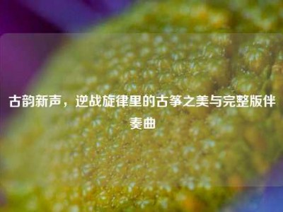 古韵新声，逆战旋律里的古筝之美与完整版伴奏曲