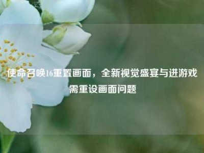 使命召唤16重置画面，全新视觉盛宴与进游戏需重设画面问题