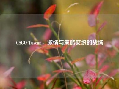 CSGO Tuscan，激情与策略交织的战场