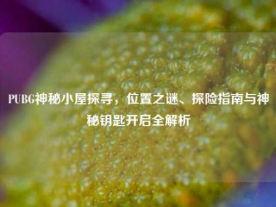 PUBG神秘小屋探寻，位置之谜、探险指南与神秘钥匙开启全解析