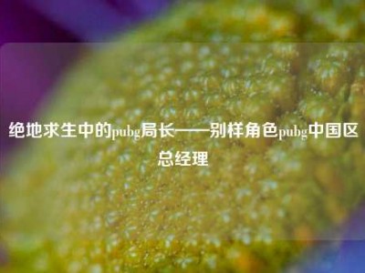 绝地求生中的pubg局长——别样角色pubg中国区总经理