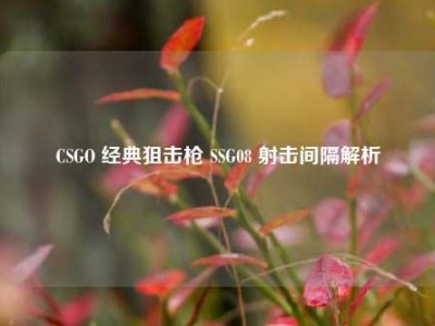CSGO 经典狙击枪 SSG08 射击间隔解析