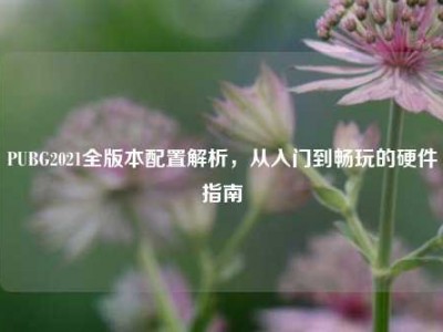 PUBG2021全版本配置解析，从入门到畅玩的硬件指南