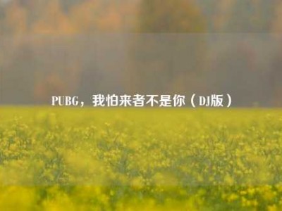PUBG，我怕来者不是你（DJ版）