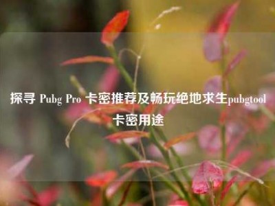 探寻 Pubg Pro 卡密推荐及畅玩绝地求生pubgtool卡密用途