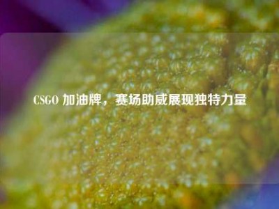 CSGO 加油牌，赛场助威展现独特力量