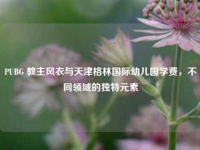 PUBG 教主风衣与天津格林国际幼儿园学费，不同领域的独特元素