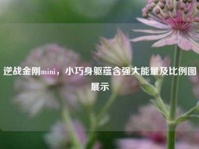逆战金刚mini，小巧身躯蕴含强大能量及比例图展示