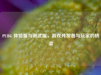 PUBG 体验服与测试服，游戏开发者与玩家的桥梁
