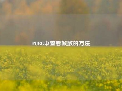 PUBG中查看帧数的方法