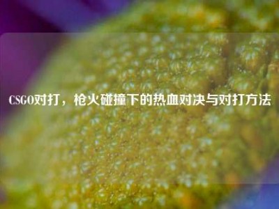 CSGO对打，枪火碰撞下的热血对决与对打方法
