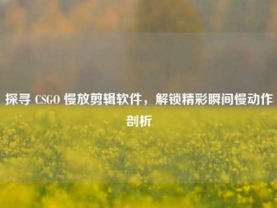 探寻 CSGO 慢放剪辑软件，解锁精彩瞬间慢动作剖析