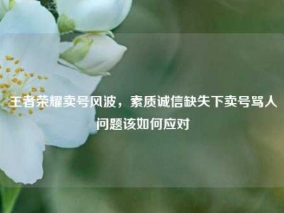 王者荣耀卖号风波，素质诚信缺失下卖号骂人问题该如何应对