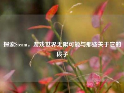 探索Steam，游戏世界无限可能与那些关于它的段子