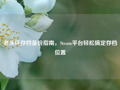 老头环存档备份指南，Steam平台轻松搞定存档位置
