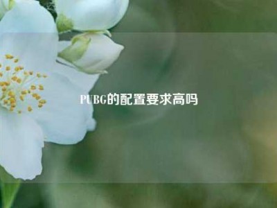 PUBG的配置要求高吗