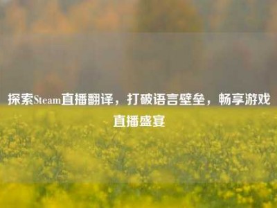 探索Steam直播翻译，打破语言壁垒，畅享游戏直播盛宴