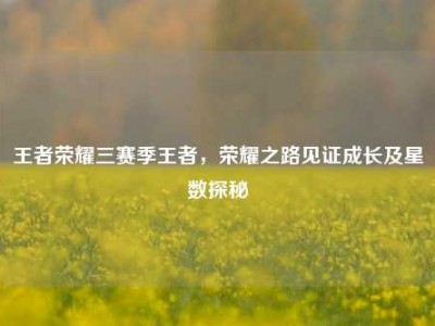 王者荣耀三赛季王者，荣耀之路见证成长及星数探秘
