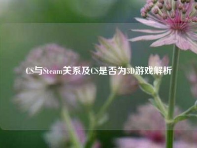 CS与Steam关系及CS是否为3D游戏解析