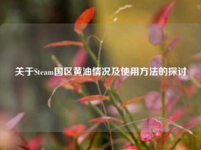 关于Steam国区黄油情况及使用方法的探讨
