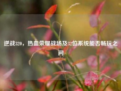 逆战320，热血荣耀战场及32位系统能否畅玩之问