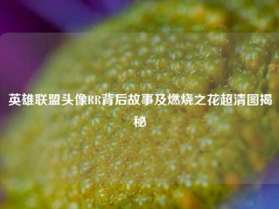 英雄联盟头像RR背后故事及燃烧之花超清图揭秘
