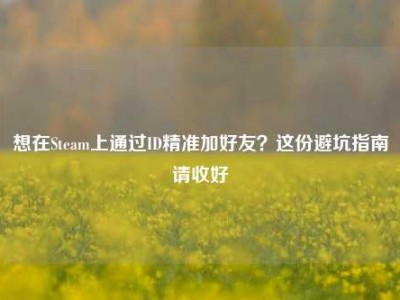 想在Steam上通过ID精准加好友？这份避坑指南请收好