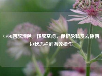 CSGO回放清除，释放空间、保护隐私及去除两边状态栏的有效操作