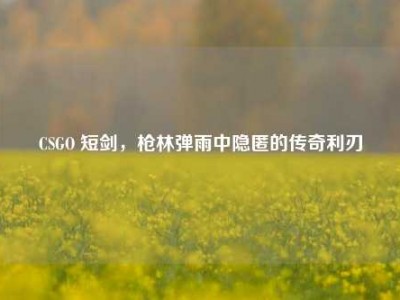 CSGO 短剑，枪林弹雨中隐匿的传奇利刃