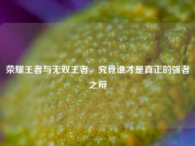 荣耀王者与无双王者，究竟谁才是真正的强者之辩