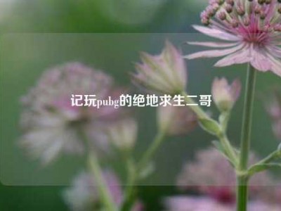 记玩pubg的绝地求生二哥