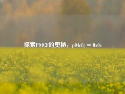 探索P04CF的奥秘，p04cfg = 0x0c