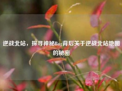 逆战北站，探寻神秘Bug背后关于逆战北站地图的秘密