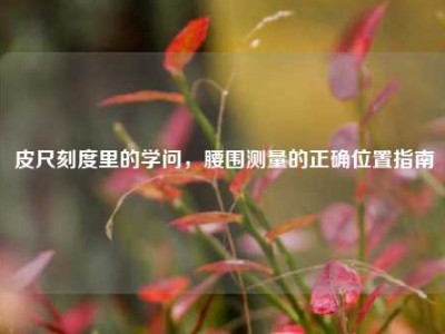 皮尺刻度里的学问，腰围测量的正确位置指南