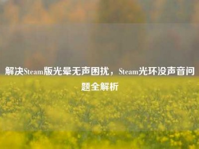 解决Steam版光晕无声困扰，Steam光环没声音问题全解析