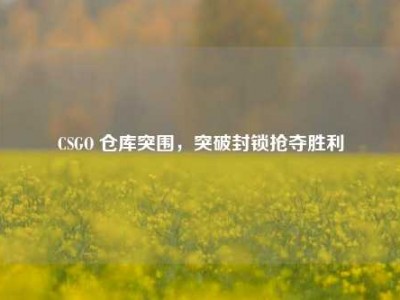 CSGO 仓库突围，突破封锁抢夺胜利