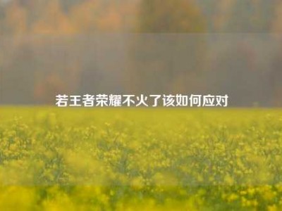 若王者荣耀不火了该如何应对