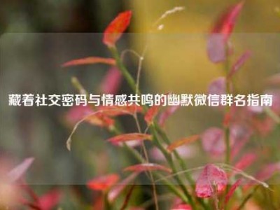 藏着社交密码与情感共鸣的幽默微信群名指南