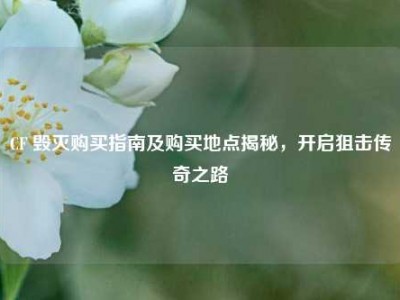 CF 毁灭购买指南及购买地点揭秘，开启狙击传奇之路