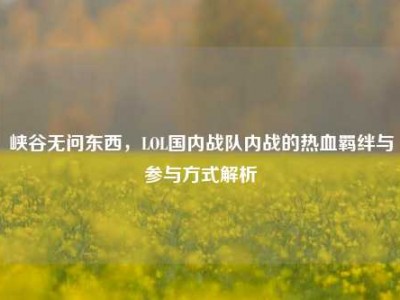峡谷无问东西，LOL国内战队内战的热血羁绊与参与方式解析