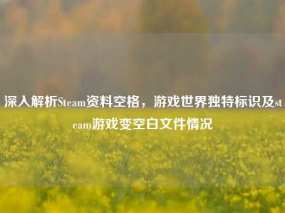 深入解析Steam资料空格，游戏世界独特标识及steam游戏变空白文件情况