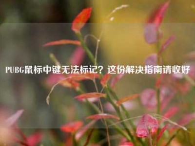 PUBG鼠标中键无法标记？这份解决指南请收好