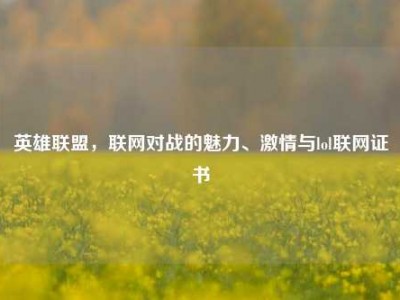 英雄联盟，联网对战的魅力、激情与lol联网证书