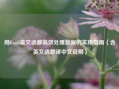 用Excel英文函数高效处理数据的实用指南（含英文函数译中文说明）
