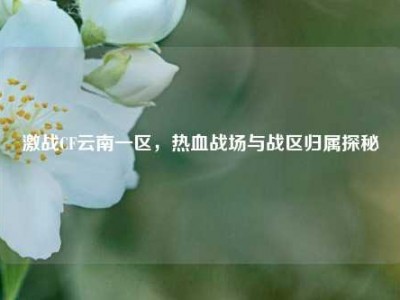 激战CF云南一区，热血战场与战区归属探秘