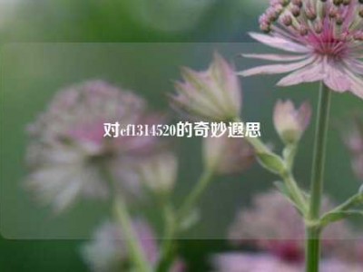 对cf1314520的奇妙遐思