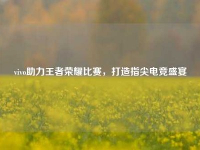 vivo助力王者荣耀比赛，打造指尖电竞盛宴
