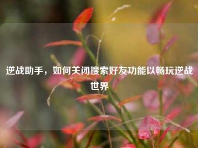 逆战助手，如何关闭搜索好友功能以畅玩逆战世界